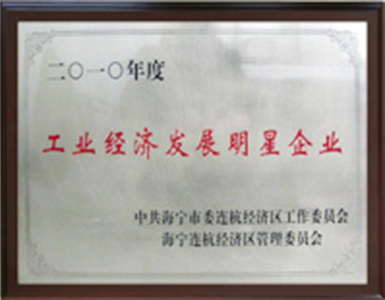 工业经济发展明星企业 工业经济发展明星企业
