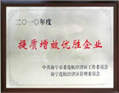 提质增效优胜企业 提质增效优胜企业