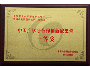 中国产学研合作创新成果奖一等奖 中国产学研合作创新成果奖一等奖